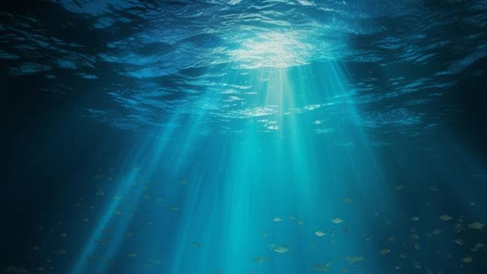 “深海小鱼”真的来自深海？万万没想到，牛奶、食用油也有类似问题