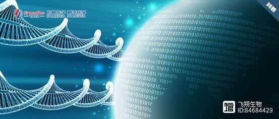 基因融合检测：DNA or RNA该怎么选？