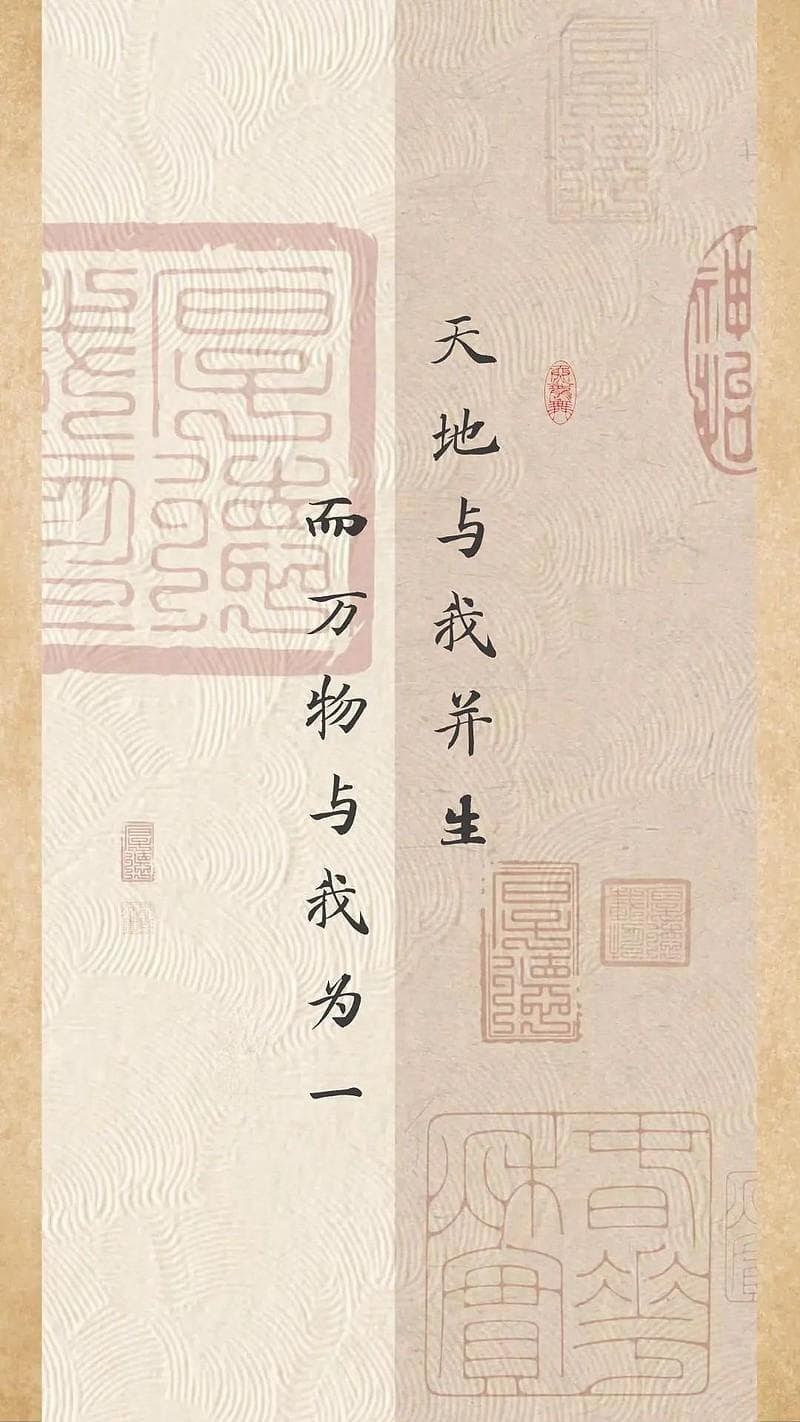 《庄子》六句经典名言：人生天地之间，若白驹过隙