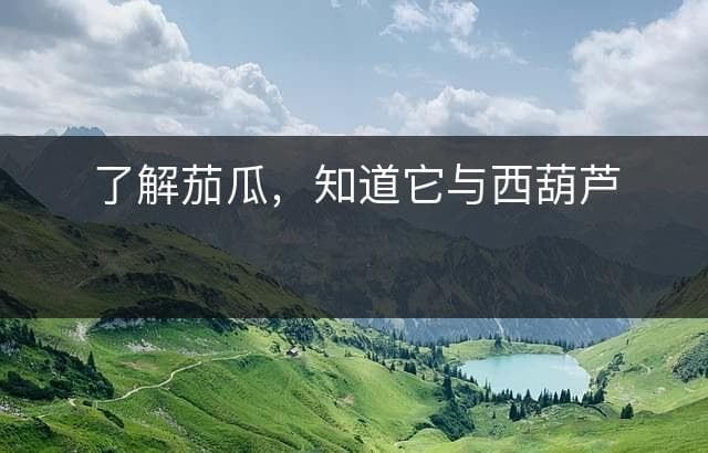 了解茄瓜，知道它与西葫芦的区别