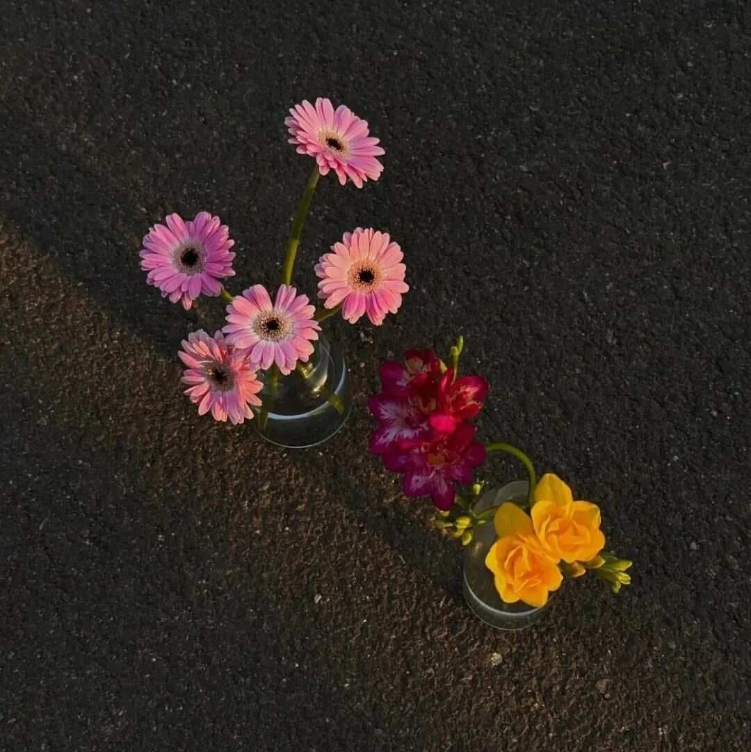回避型依恋的爱情幻想