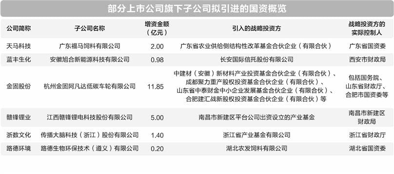 多家A股公司“为子引战” 国资机构成重要买家
