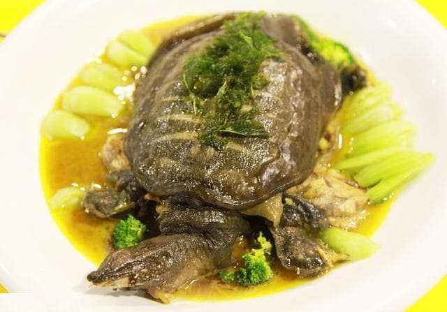 张老汉午后腹痛入院，医生痛斥：甲鱼虽补，不可这样吃