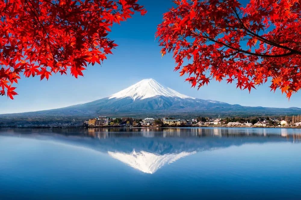 日本，已经成了上海游客的后花园？