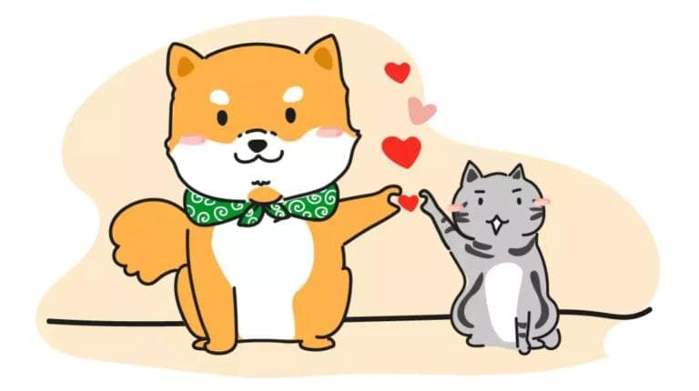 猫和狗能一起养吗（怎么让猫和狗和平相处）