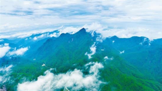 共绘秦岭保护同心圆