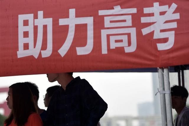 2025年物化地组合报考趋势解析：高校选择与就业方向一文全懂！