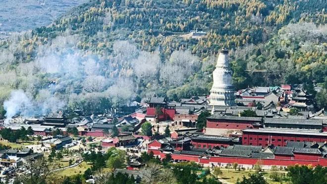 登华北屋脊五台山：三大古刹与佛教文化深度游