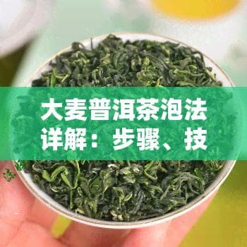 大麦普洱茶泡法详解：步骤、技巧与视频教程全攻略