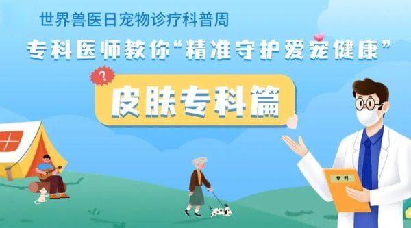 世界兽医日科普-皮肤专科篇 | 狗狗经常舔自己，正常行为还是健康问题？