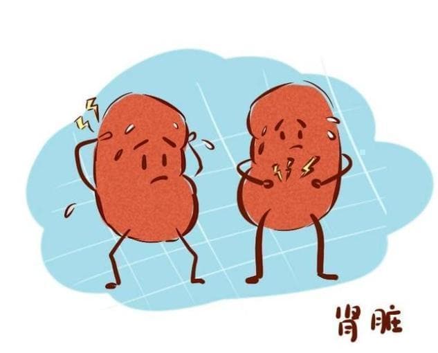 从中医角度解读儿童肾脏疾病防治