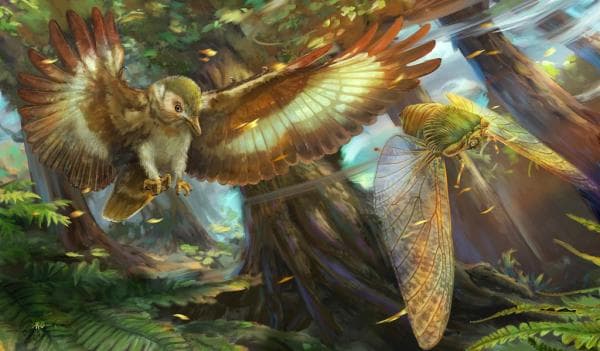提速约四成！科学家探秘远古昆虫的“飞行竞赛”