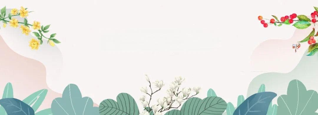 风传花信，山河已春