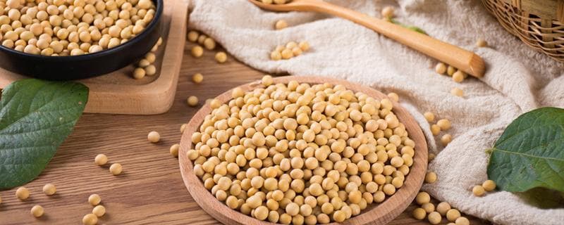 无糖豆浆能减肥吗？豆浆的营养价值与功效全解析