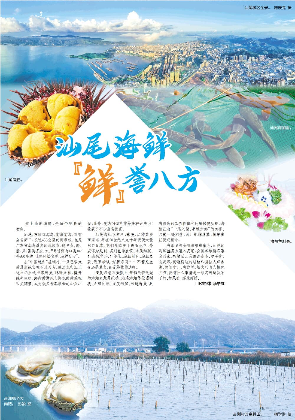 汕尾海鲜 “鲜”誉八方