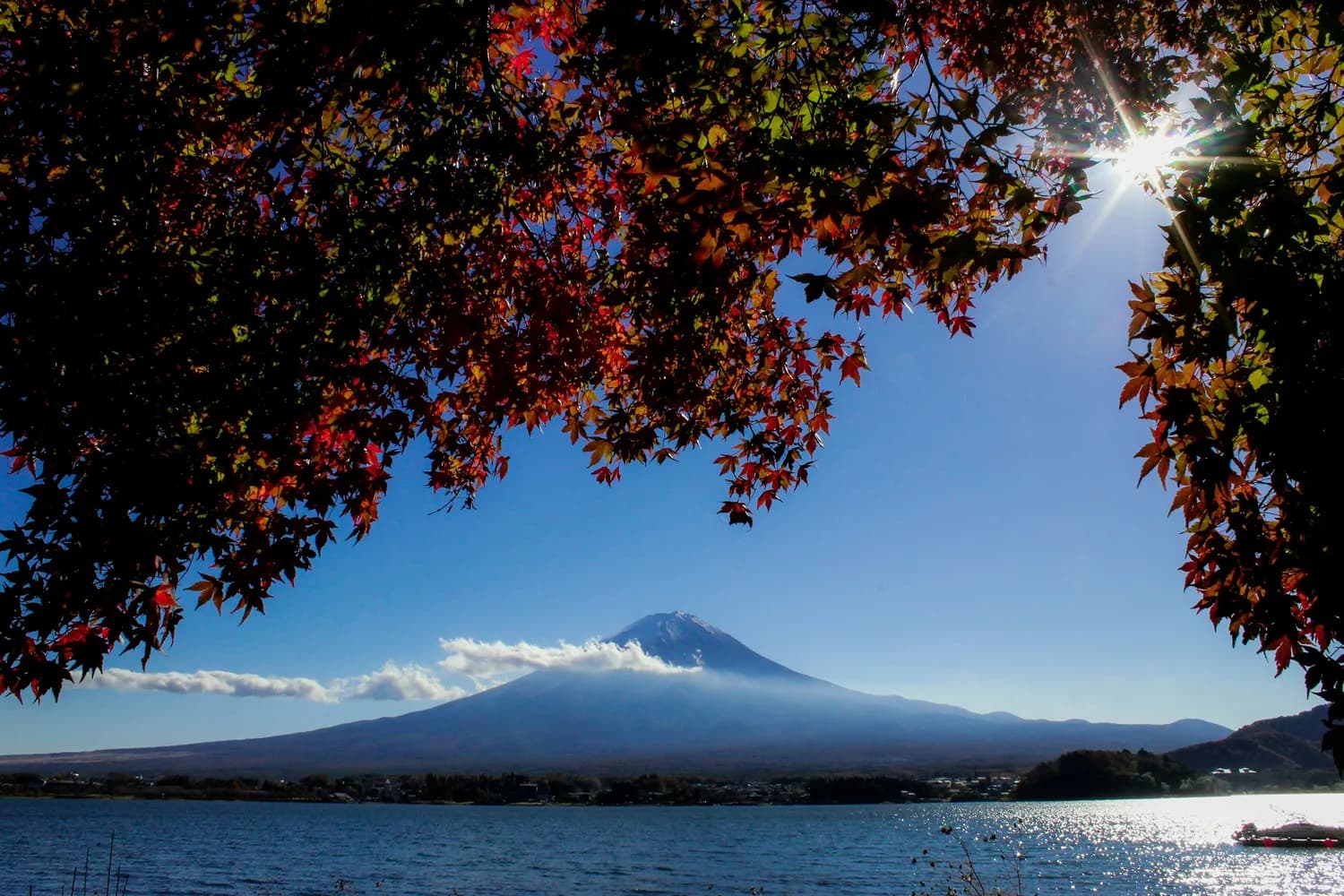 探访富士山：感受日本文化的瑰宝