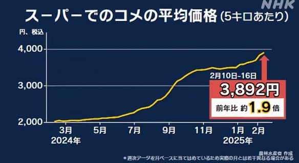 日本米价暴涨90%！民众愤怒并呼吁政府采取行动！