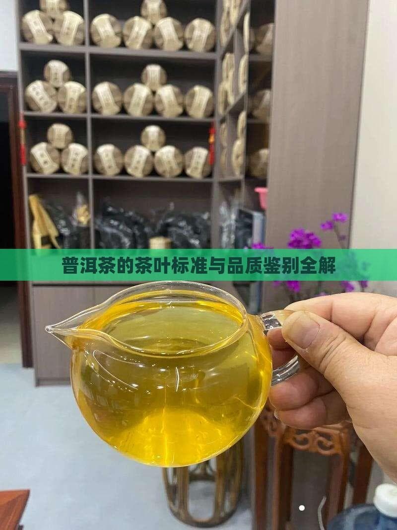 普洱茶的茶叶标准与品质鉴别全解