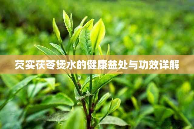 芡实茯苓煲水的健康益处与功效详解