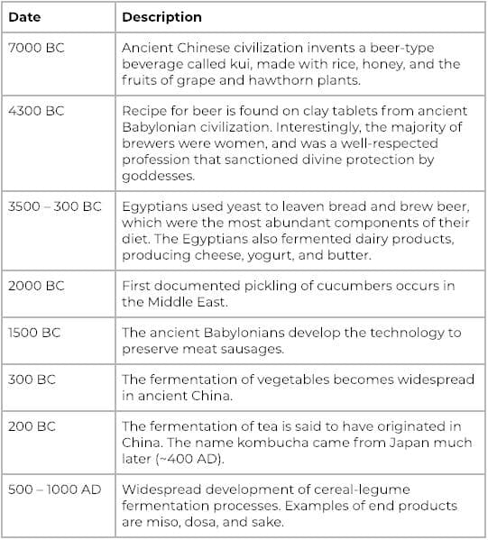 发酵的古代起源：从自然发现到文明基石