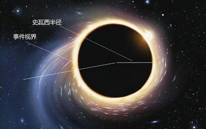 黑洞奇点的密度无限大，到底是由什么元素组成的？