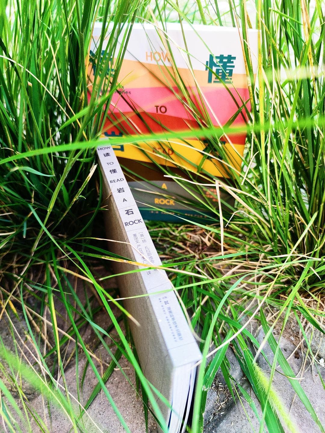 奇妙石头背后的故事等我们去探究