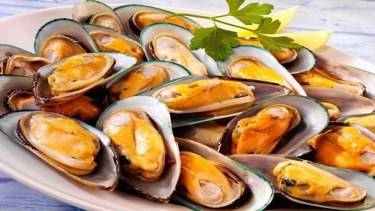 淡菜的功效与作用、禁忌和食用方法