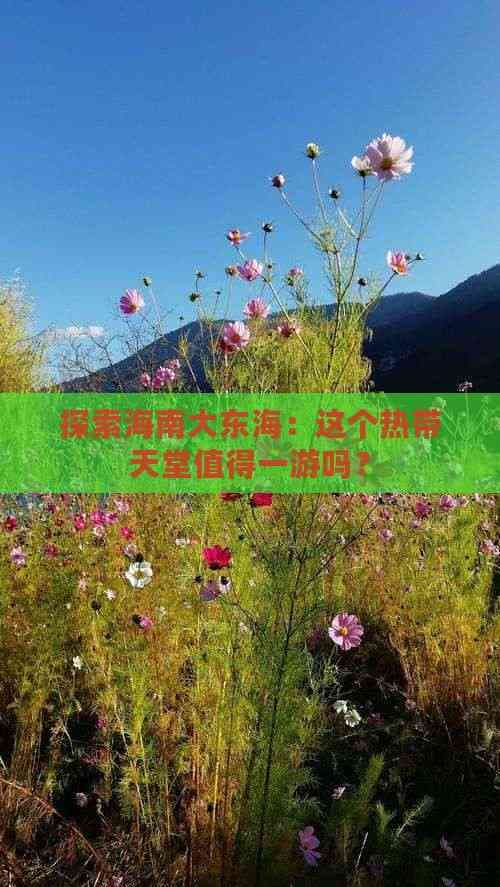 探索海南大东海：这个热带天堂值得一游吗？