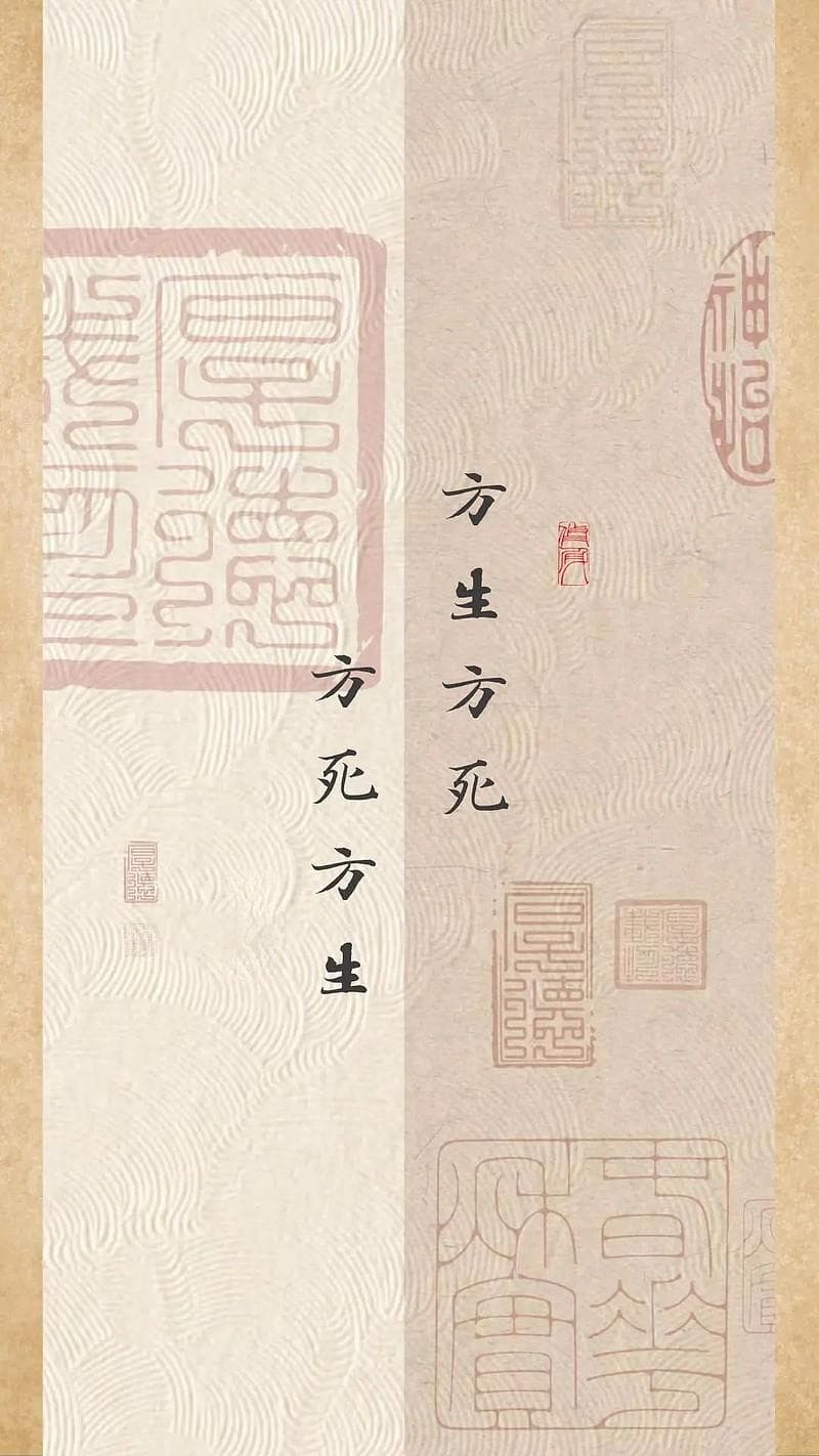 《庄子》六句经典名言：方生方死，方死方生