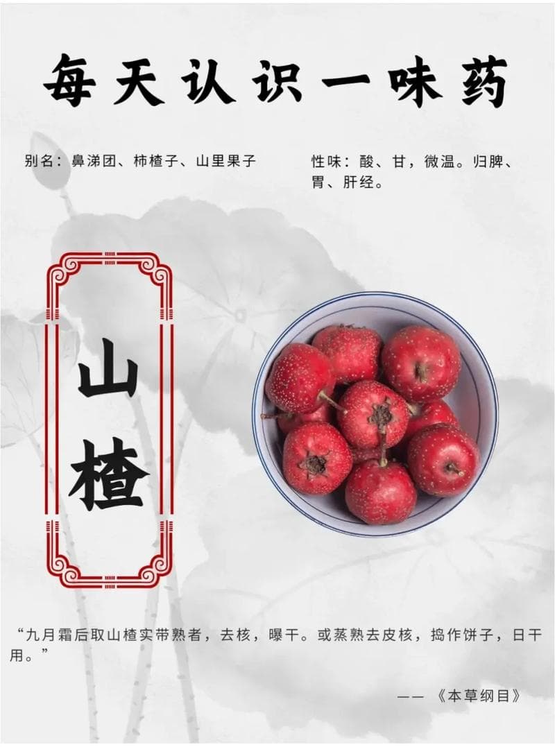 中药山楂功效，传统医学中的瑰宝与现代应用