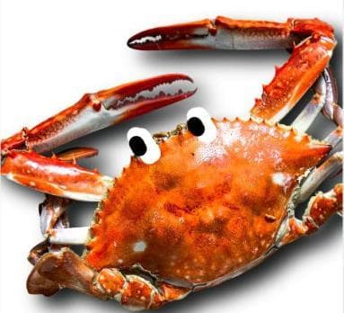 末伏前后，这三种“神仙肉”端上桌，清火补虚又祛湿，老人小孩养脾胃