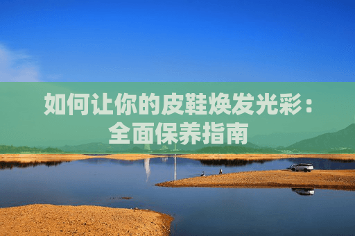 如何让你的皮鞋焕发光彩：全面保养指南