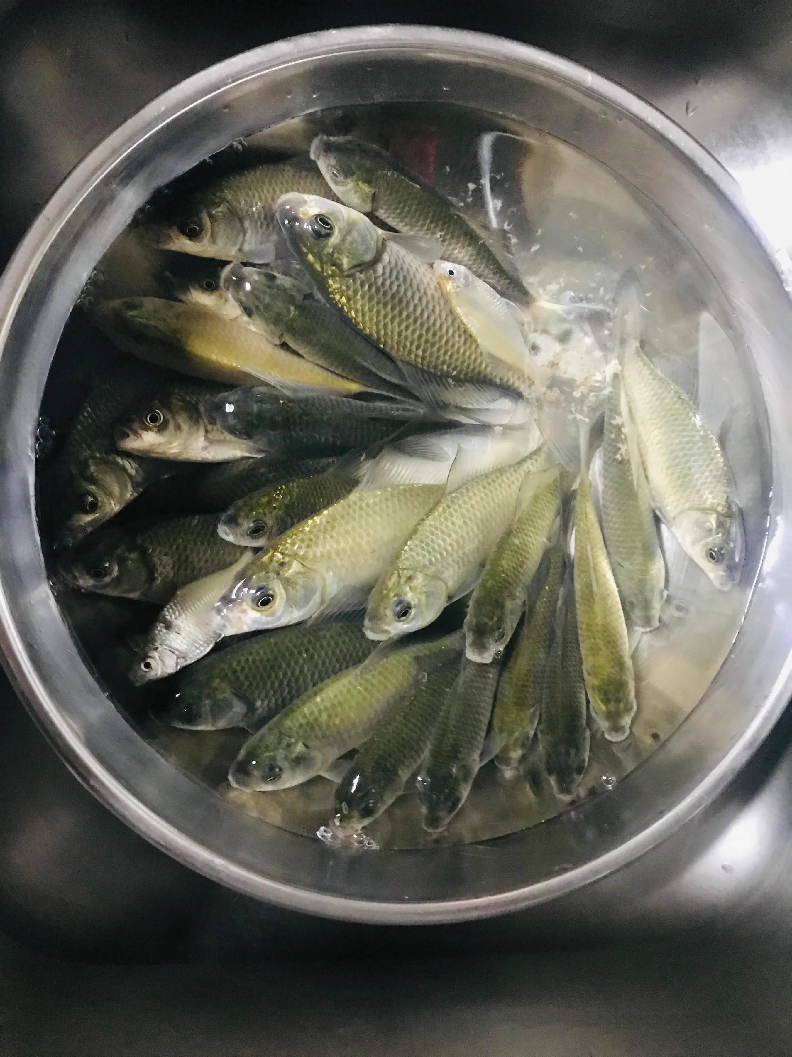 这也许就是钓鱼的意义！