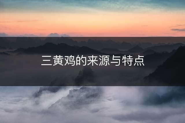 三黄鸡的来源与特点