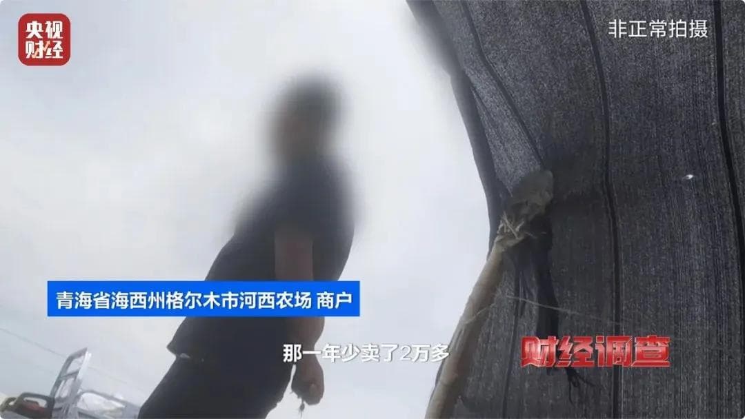 央视曝光“硫超标”枸杞，“养生”瞬间变“害命”