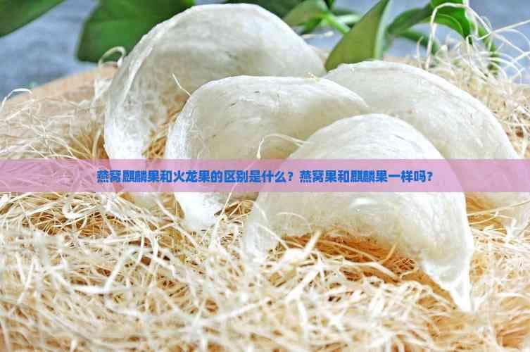 燕窝麒麟果和火龙果的区别是什么？燕窝果和麒麟果一样吗？
