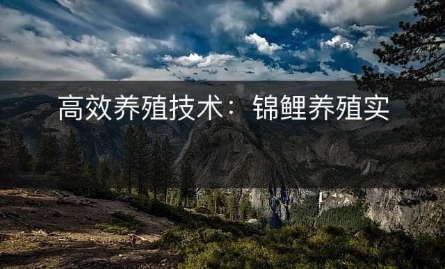 锦鲤养殖技术指南：市场需求旺盛，养殖效益可观