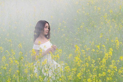 古典智慧：易经与论语中的优雅灵动女孩名字