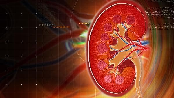 尿素偏高是什么意思？原因、影响及应对措施全解析
