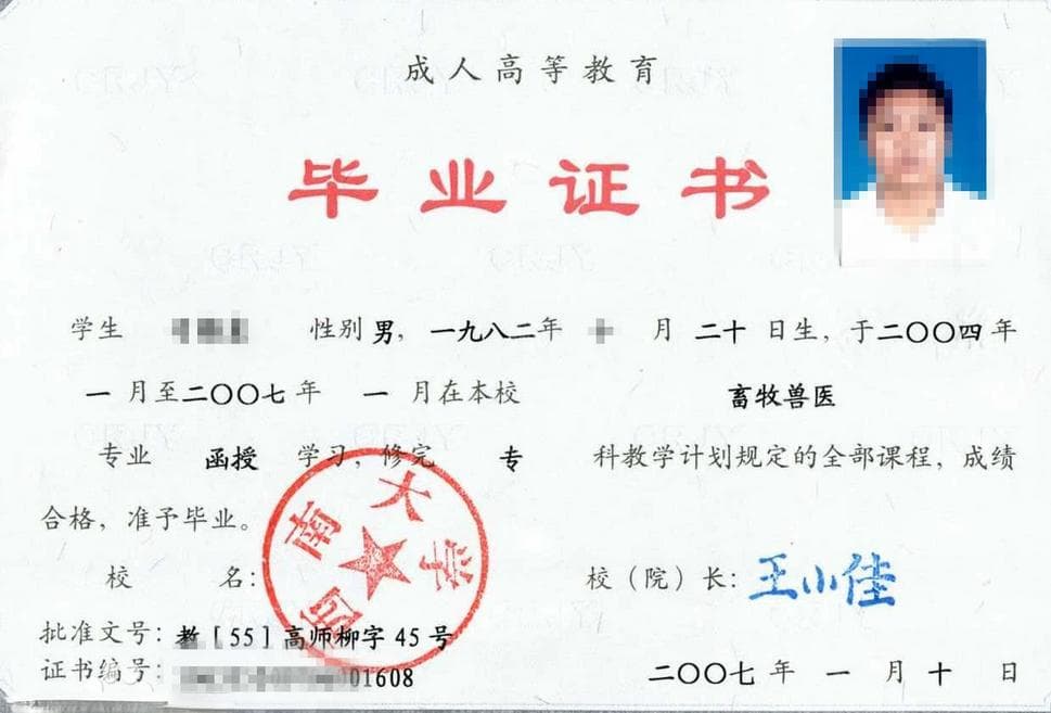 专科生如何申请日本留学？四种留学路径分析与建议
