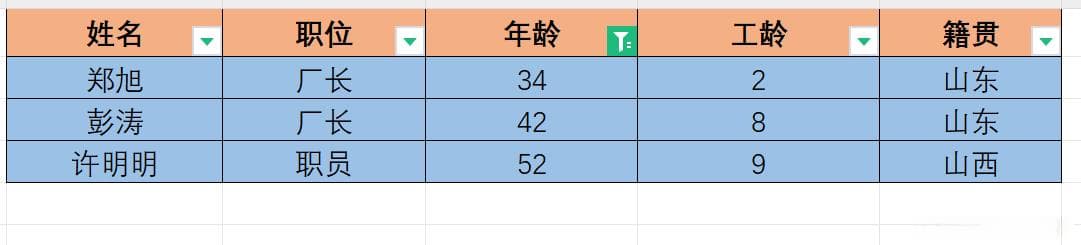 Excel数据筛选完全指南：单列筛选、多列筛选和高级筛选