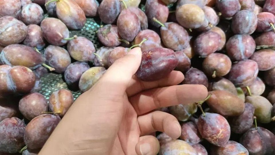水果中的“第一泻药”正在上市，今年价格很低也很高，高价果卖到50元一斤