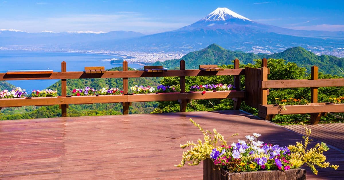 日本伊豆全景公园：富士山下的绝美景点