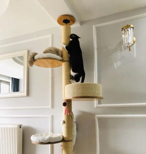 猫咪庭院猫爬架选购指南：从材质到维护全方位解析