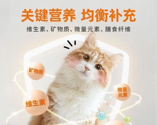 如何判断猫咪吃太多是否需要就医
