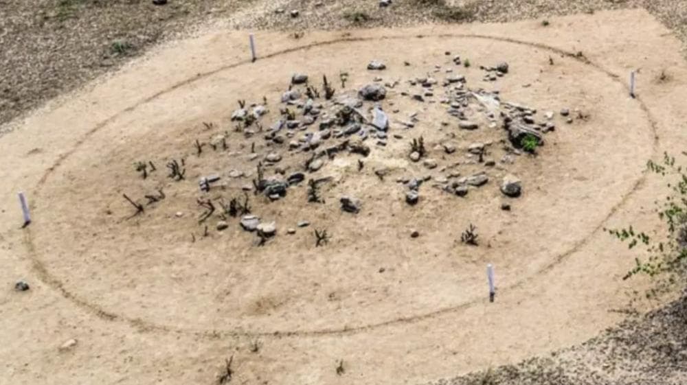 铁器时代“始于”印度？印度泰米尔纳德邦考古发现距今5000年前的铁器引发争议