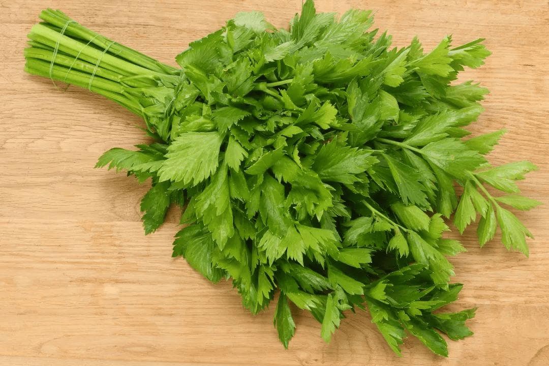 芹菜叶别扔！教您做‘三香三脆’小菜，配粥拌面香掉牙！