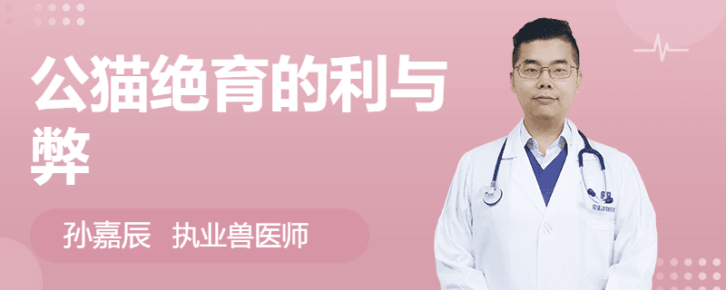 公猫绝育的利与弊