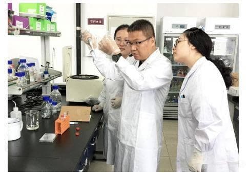 维生素B2权威分析：功能、缺乏症状与摄入建议