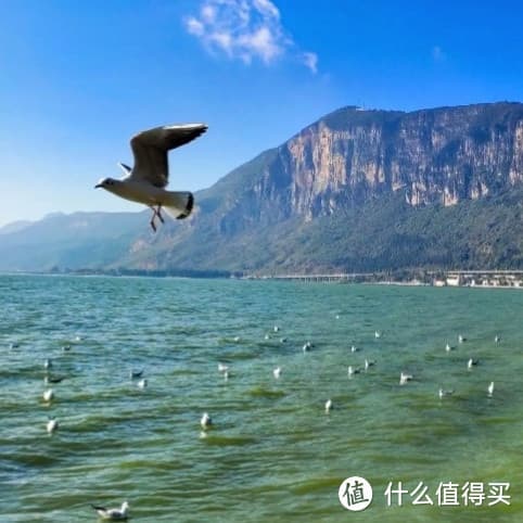 1900元云南7日游：8大景点、交通住宿全攻略
